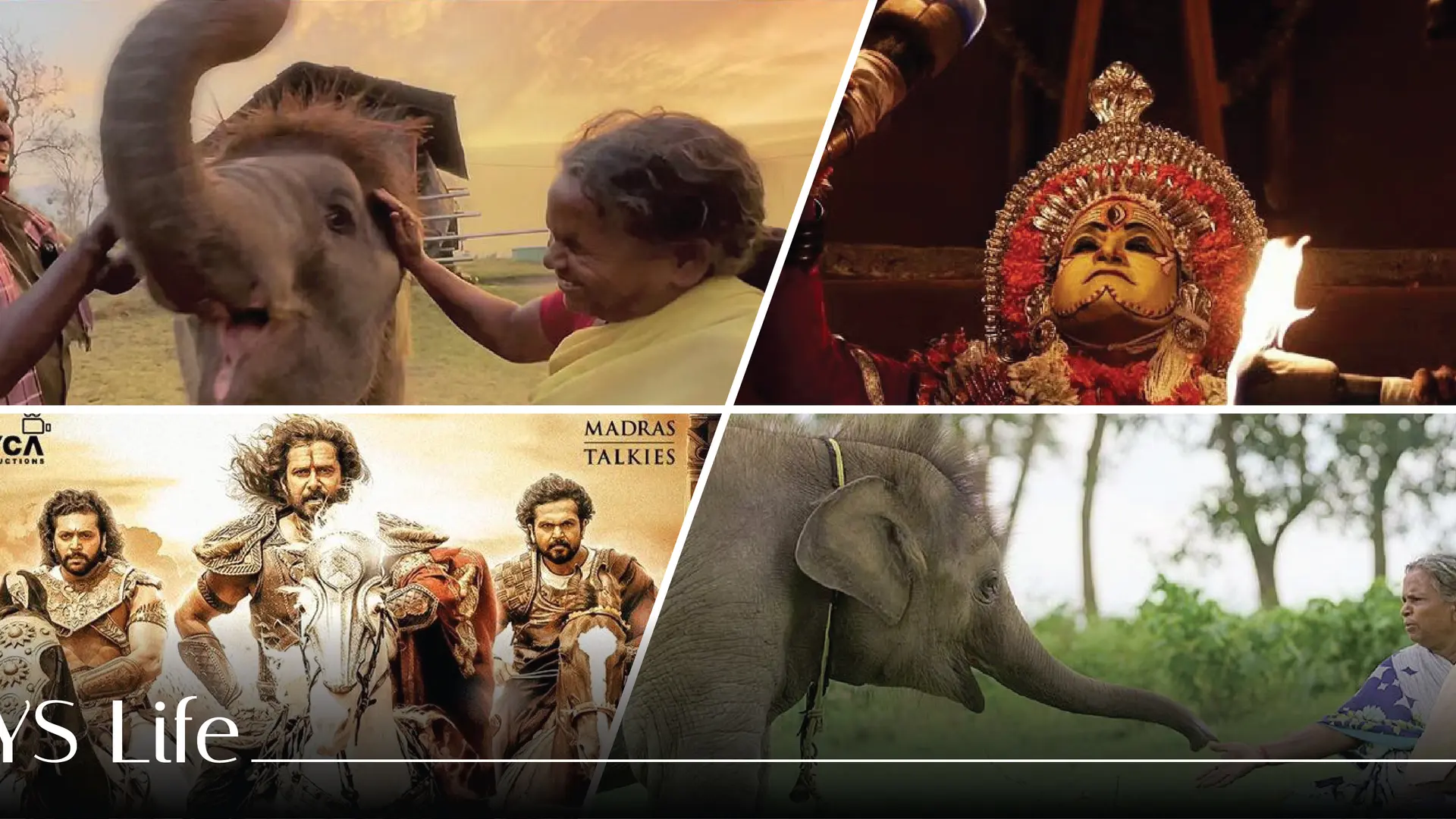 ‘Rooted stories have the power to cross boundaries’