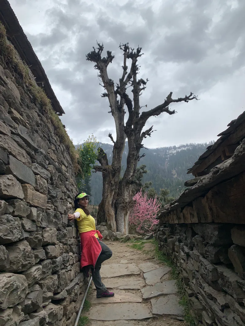 Trekking in Shogi Himachal