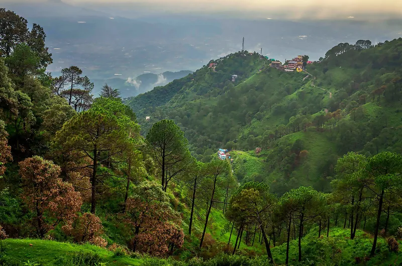 Kasauli