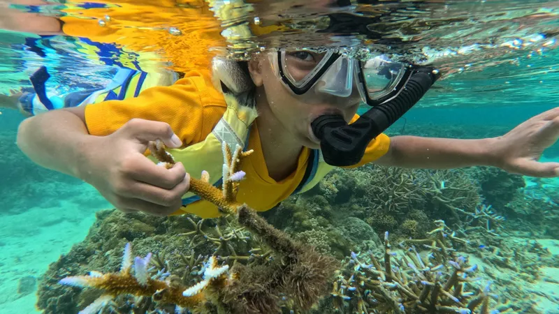 Snorkelling Naidiri Marine