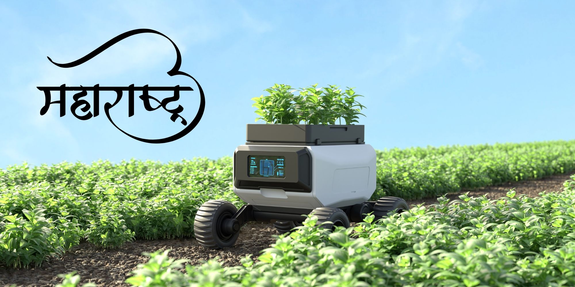 Tiny AI system doubles sugarcane yields in Maharashtra
