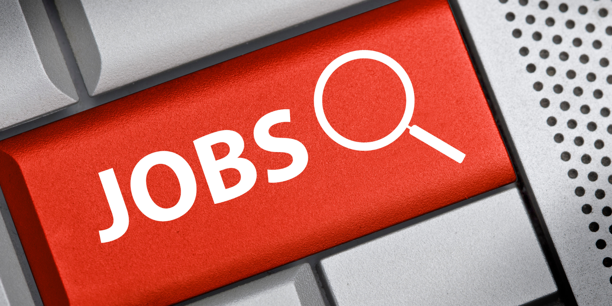 AI is squeezing entry-level workers hardest, Stanford finds