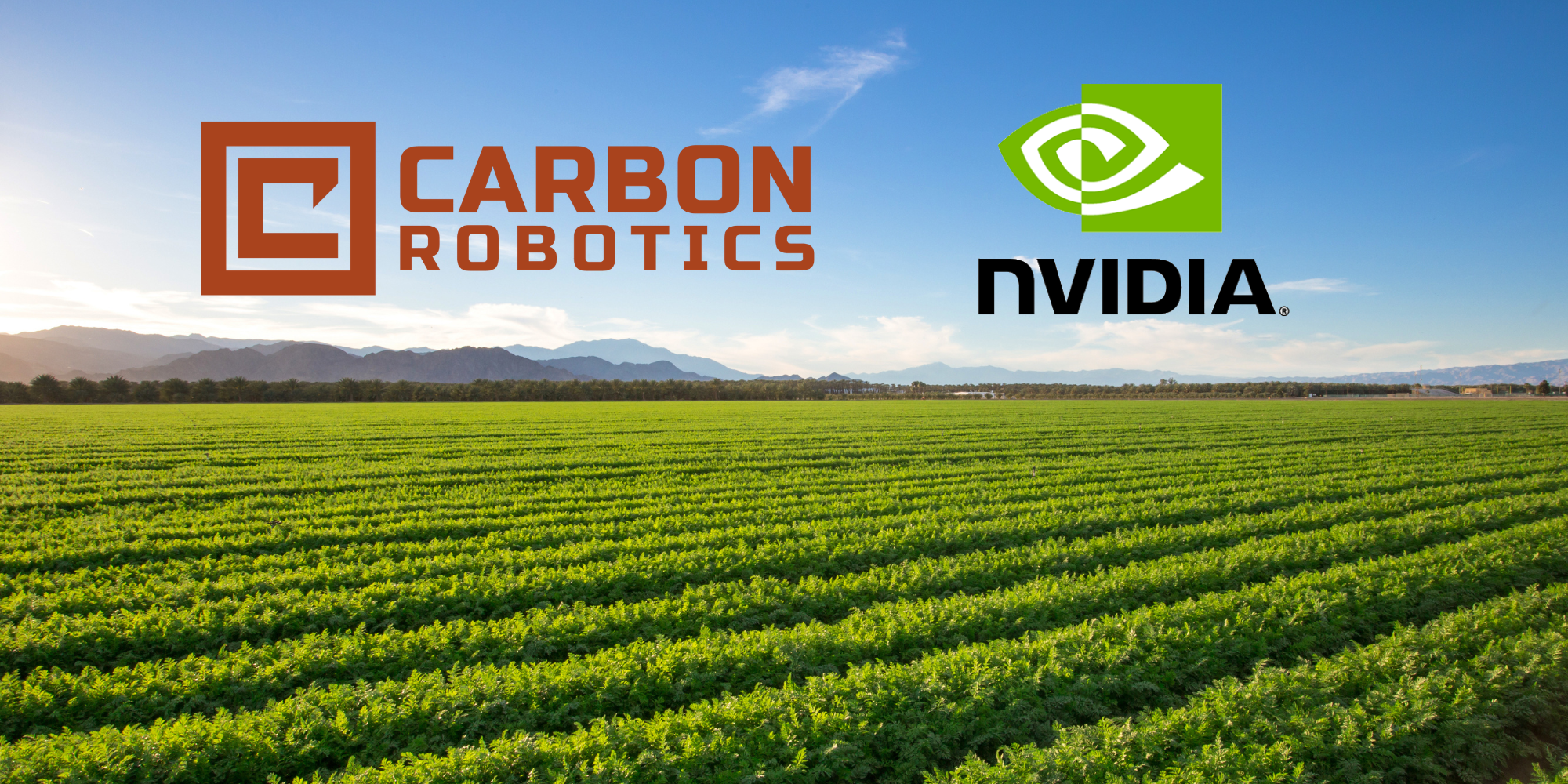 How Carbon Robotics uses NVIDIA-powered GPUs to kill weeds in seconds