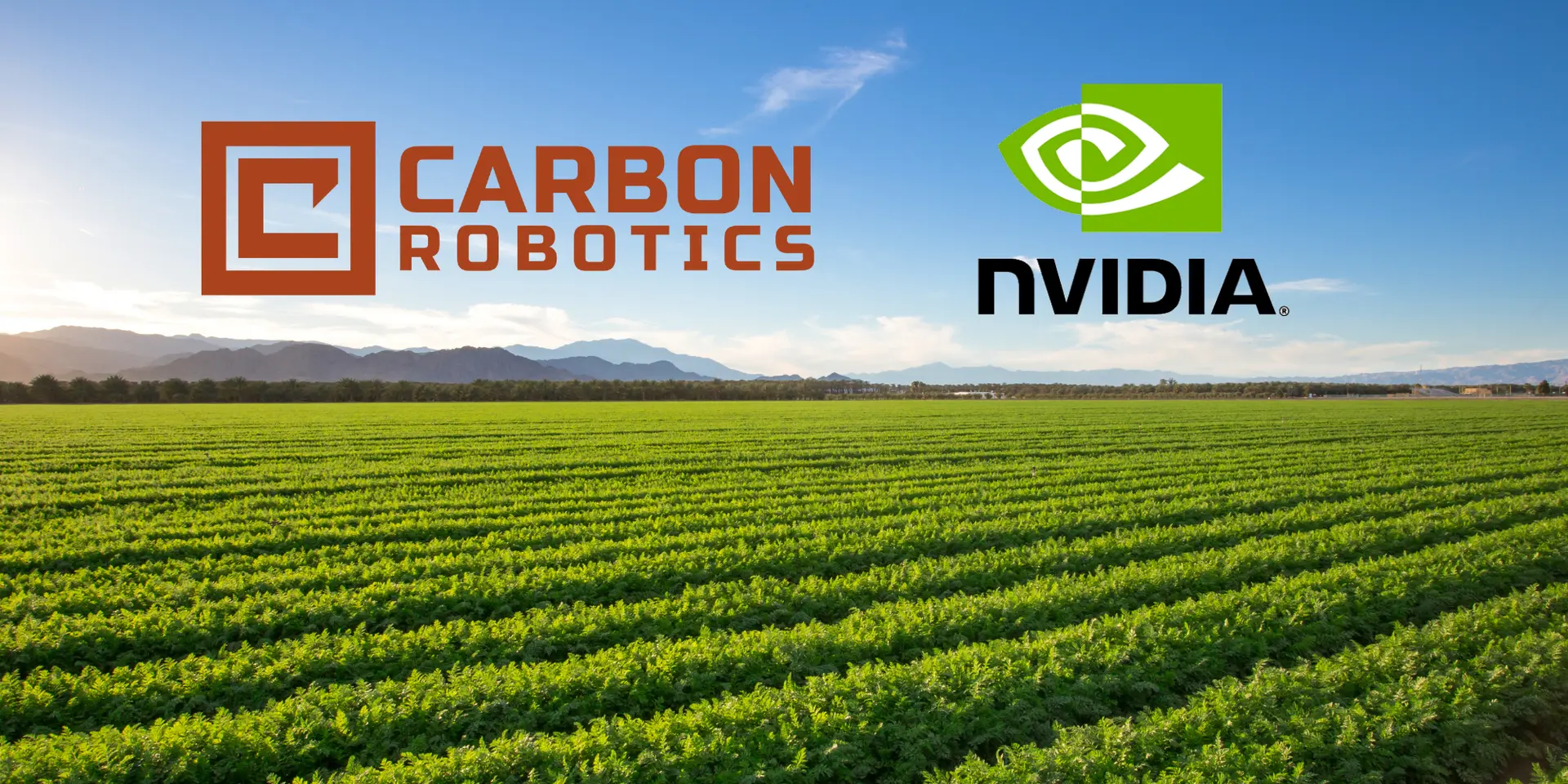How Carbon Robotics uses NVIDIA-powered GPUs to kill weeds in seconds