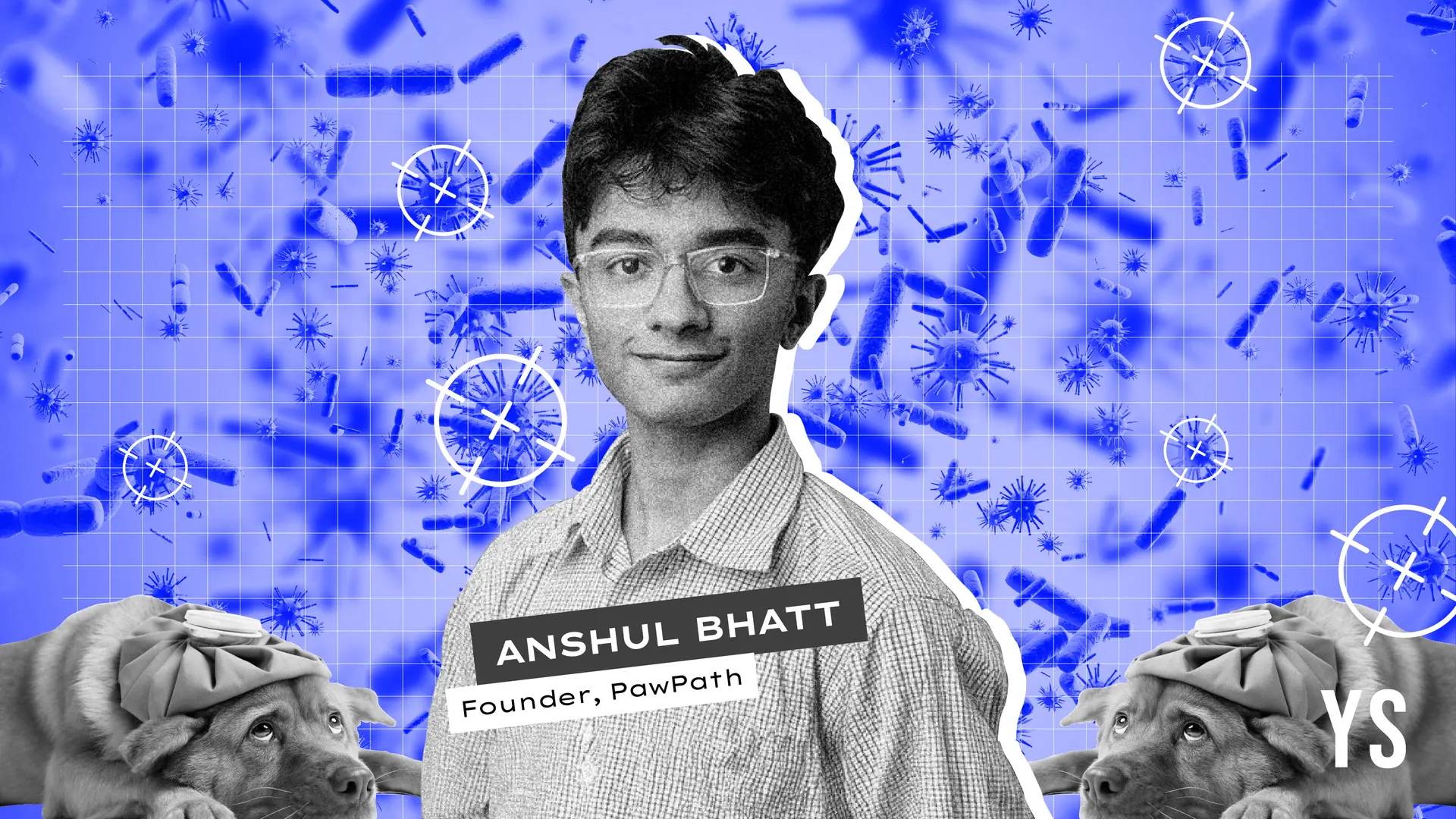 Meet the 16-year-old using AI to diagnose arthritis in canines
