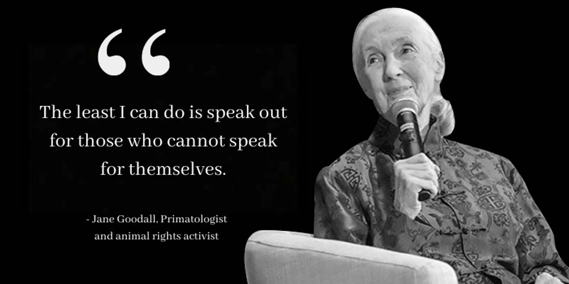 Window to the wild world: Animal rights activist Jane Goodall on letting animals be