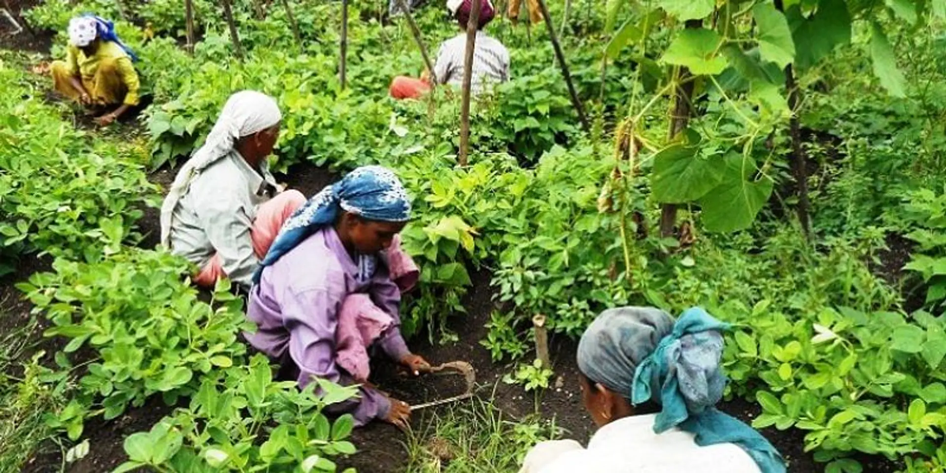 Woman farmers, self-help groups, play important role in farm sector growth: MoS Agri Rupala