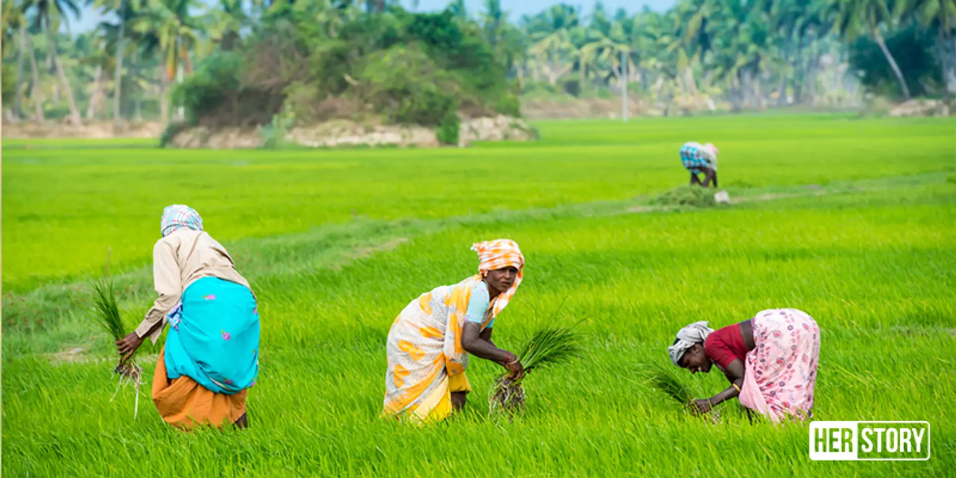 Mahila Kisan Sashaktikaran Pariyojana aims to empower and increase the participation of women in agriculture