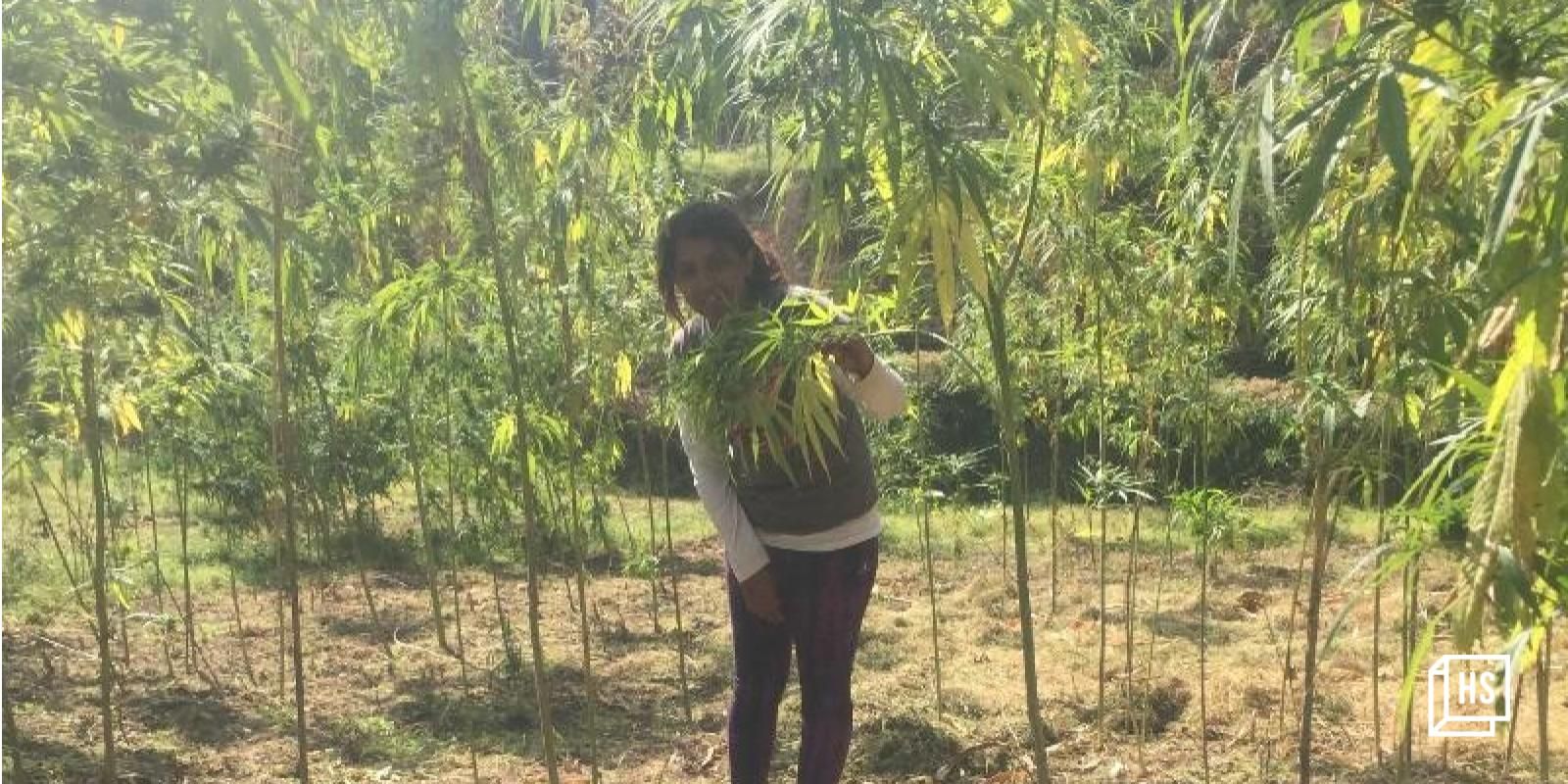 This woman entrepreneur’s interest in industrial hemp led to her start an eco-friendly venture 