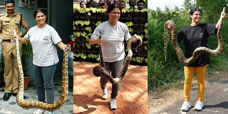 Meet the 60-year-old woman from Kochi who rescues snakes to put them back in the wild