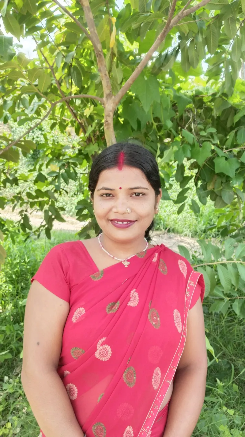 solar didi