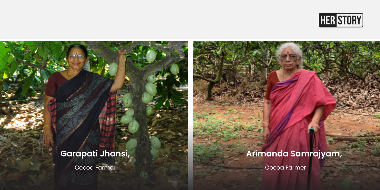 How cocoa farming has helped these women farmers improve their livelihoods and increase income