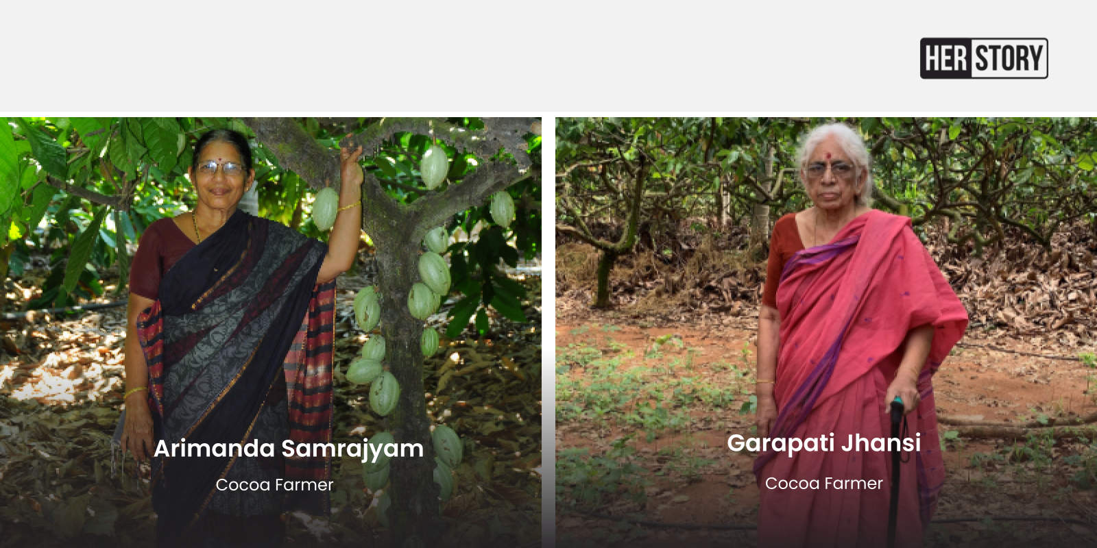 How cocoa farming has helped these women farmers improve their livelihoods and increase income