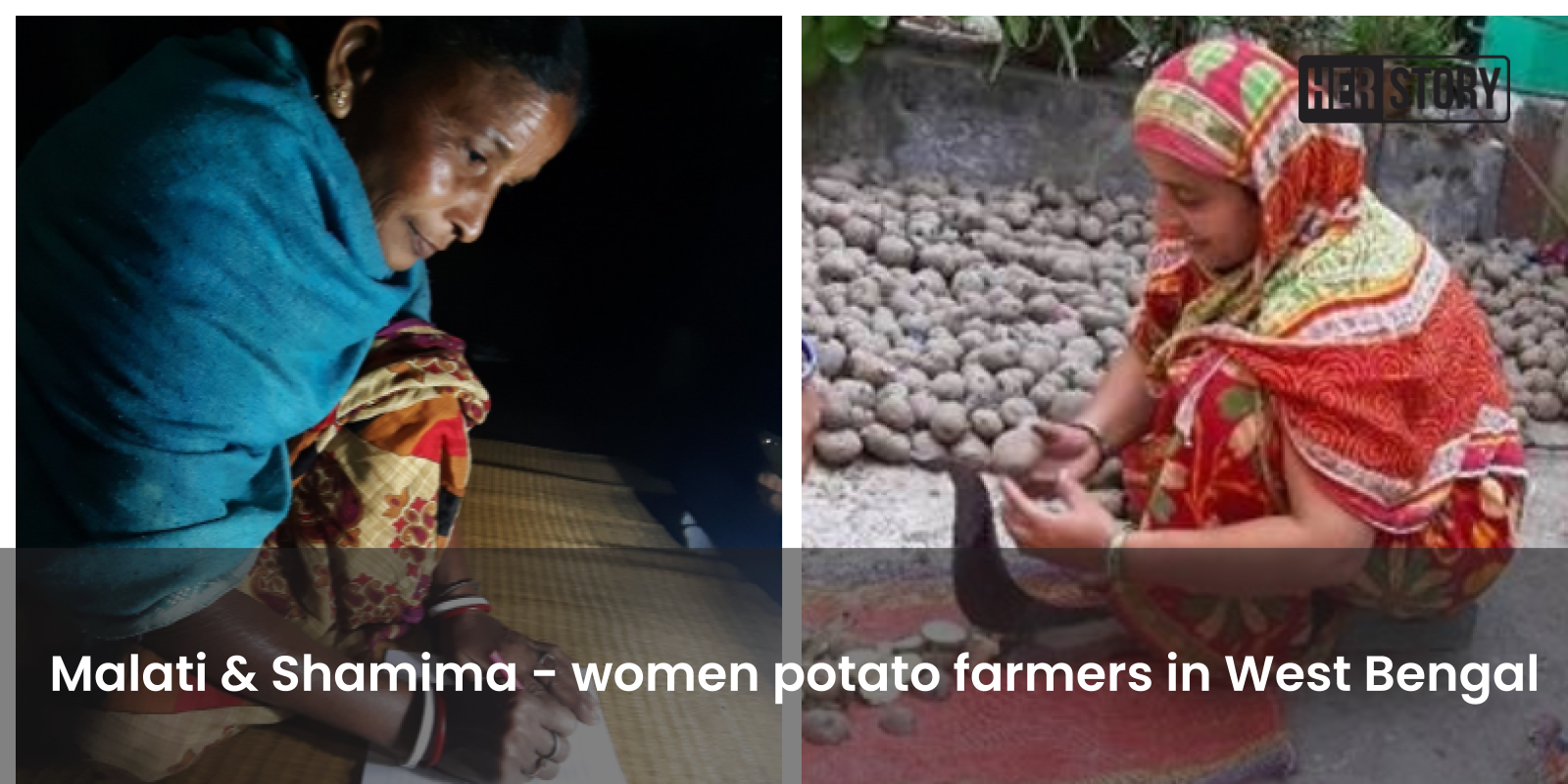 How these women potato farmers in West Bengal are becoming agents of change within their communities