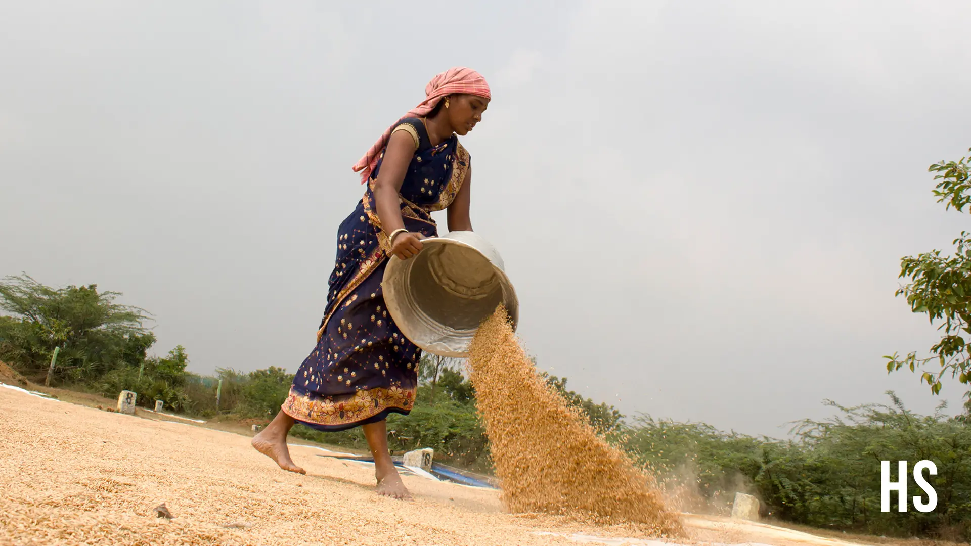 Telangana govt to help women SHGs set up rice mills, logistic parks, super bazaars
