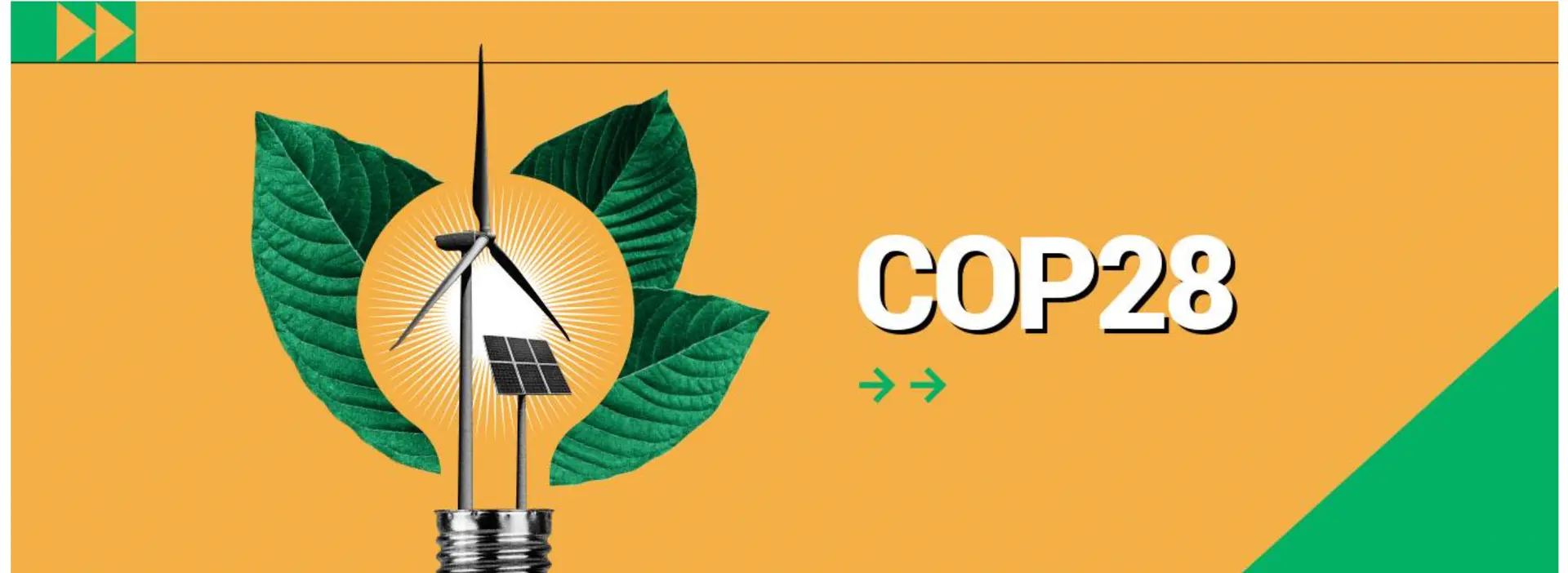 UN COP28: Two Indian women bring traditional solutions to fight climate change