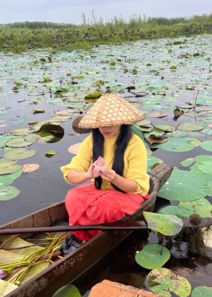 lotus fibre