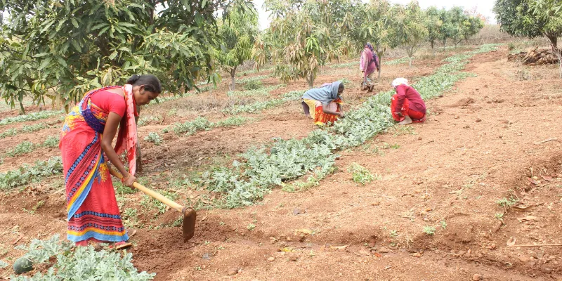 How women farmers in Jharkhand’s Torpa Block are witnessing change, one ...