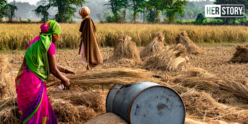 Gender equality can help mitigate climate change effectively, say reports 
