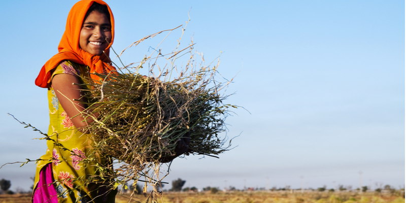India must put women and girls at the centre of its economic recovery plans: Report by IWWAGE and TQH 
