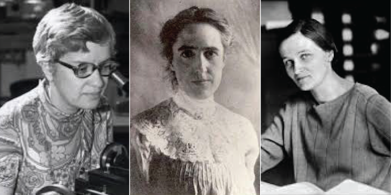 Three women who deserved the Nobel Prize but sexism ensured they did not