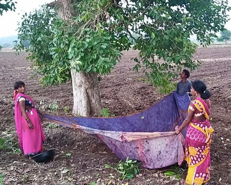 Turiya Investments 