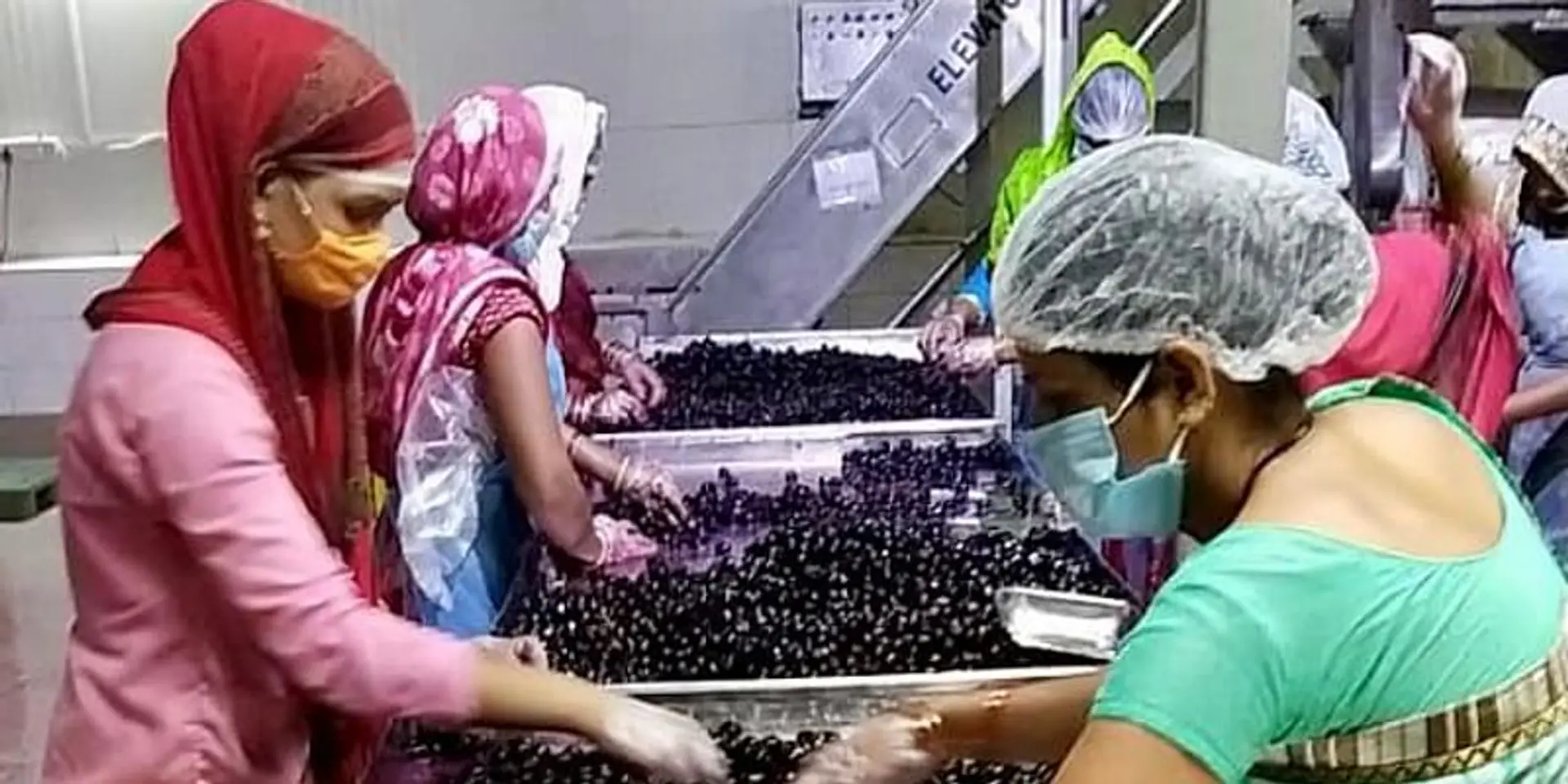 This investment firm is helping rural women in MP build a livelihood by extracting Jamun pulp to make wines