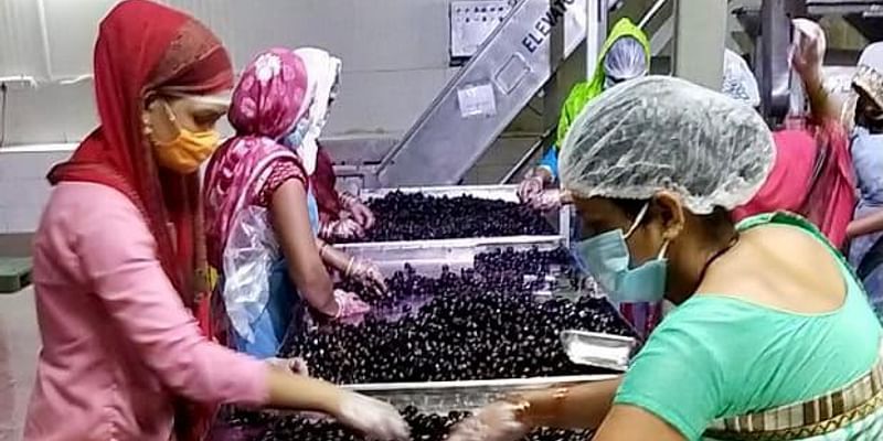 This investment firm is helping rural women in MP build a livelihood by extracting Jamun pulp to make wines