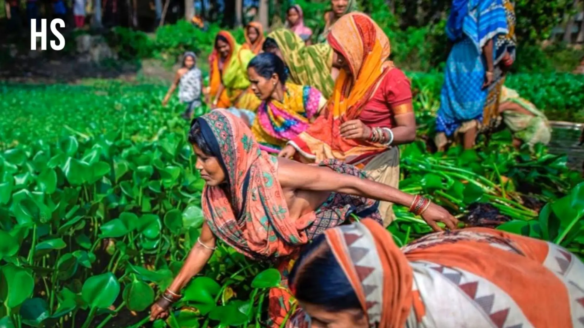 Meet the women building climate resilience from the ground up in rural India