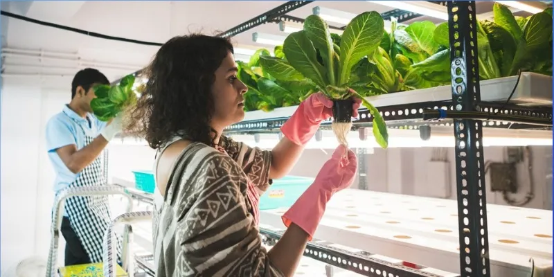 women-led farming initiatives