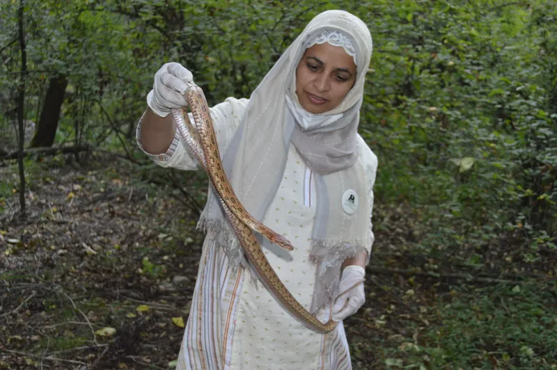 Aaliya Mir