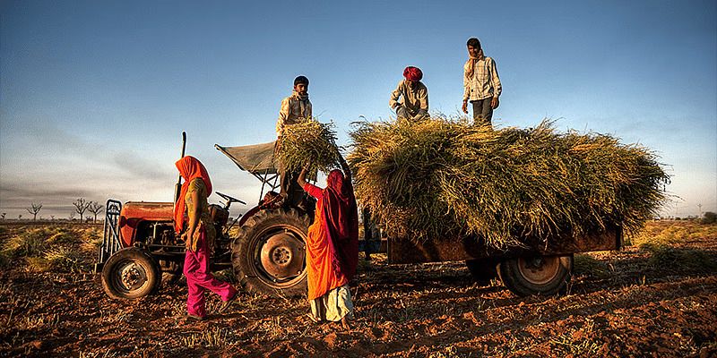 Women participation in India's labour force on the rise: 2024 Indian Economy review