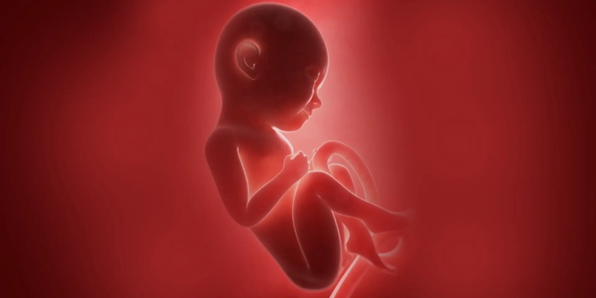 Cabinet approves raising of upper limit for permitting abortions to 24 weeks
