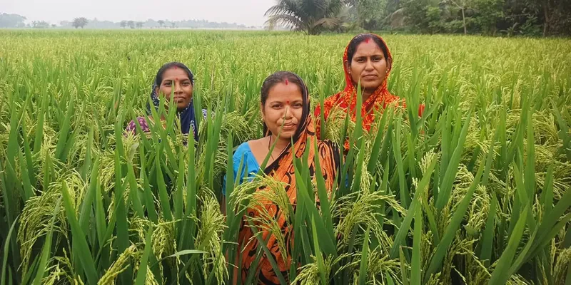 In Odisha’s coastal districts, women are emerging as frontline climate responders through the Enhancing Climate Resilience of India’s Coastal Communities project.