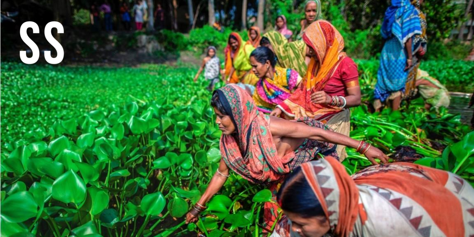 Meet the women building climate resilience from the ground up in rural India