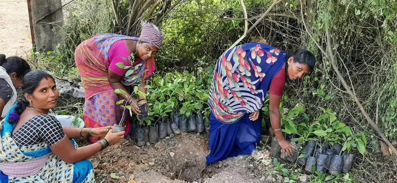 The movement has grown to 80 women belonging to two collectives working on 15 farms in the villages of Vellore district. 