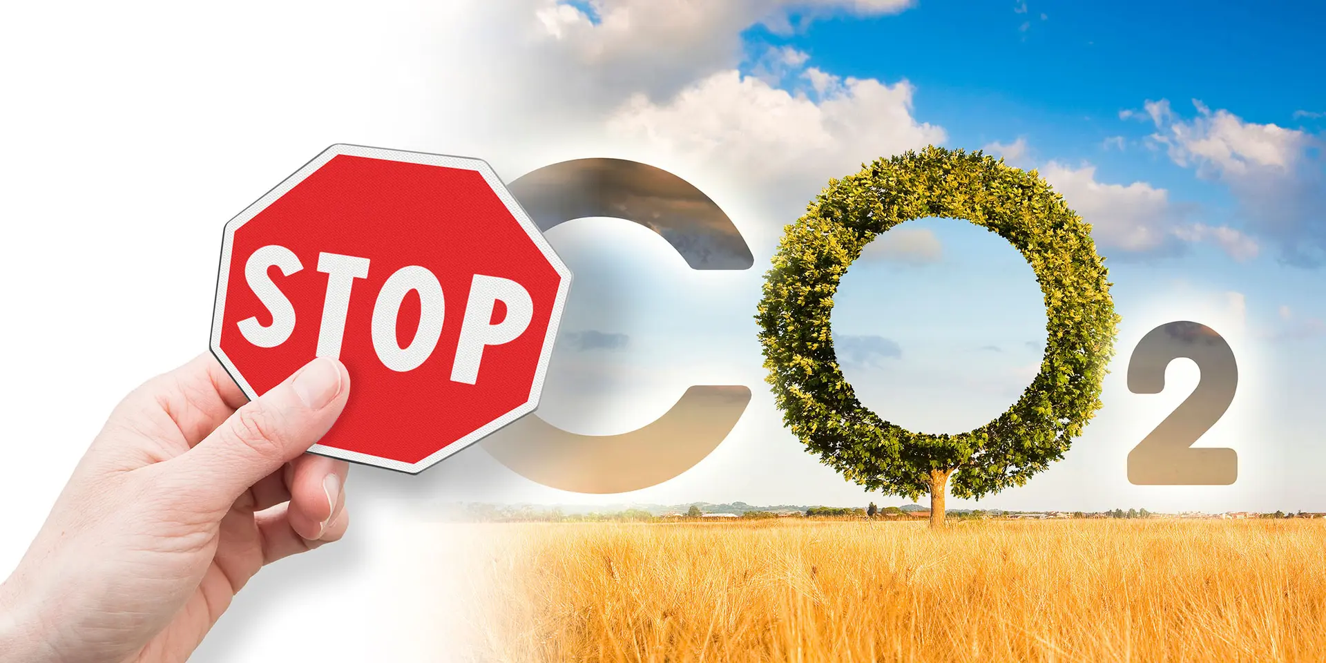 How India’s G20 presidency can help fight climate change