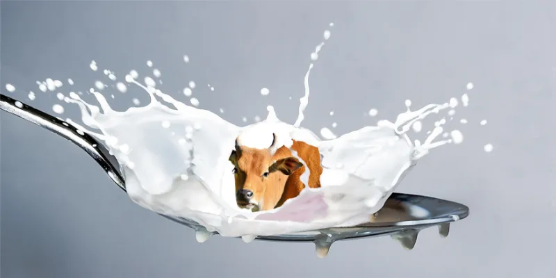 FIAPO Don't Get Milked Campaign