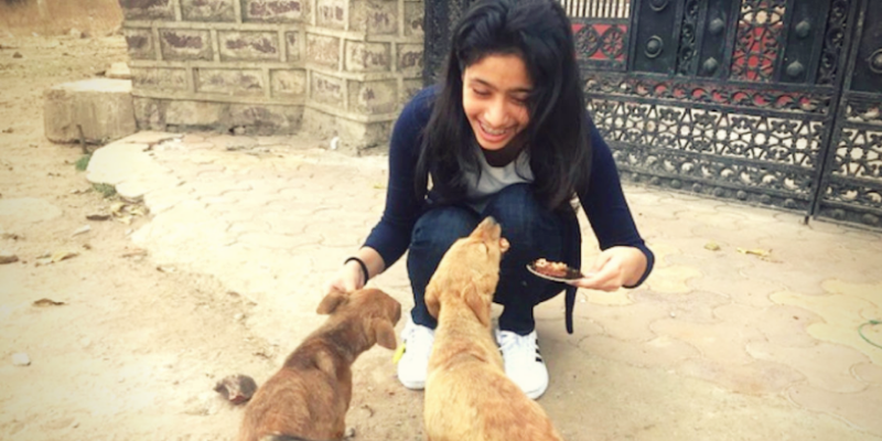 Meet the changemaker who helps animals everywhere by spreading her message of empathy