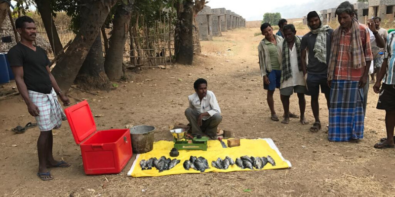 Meet the social entrepreneur who is revolutionising the Indian inland fisheries industry 
