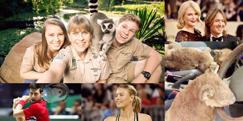 Meet the individuals and celebrities doing their bit to help victims of the Australian bushfires


