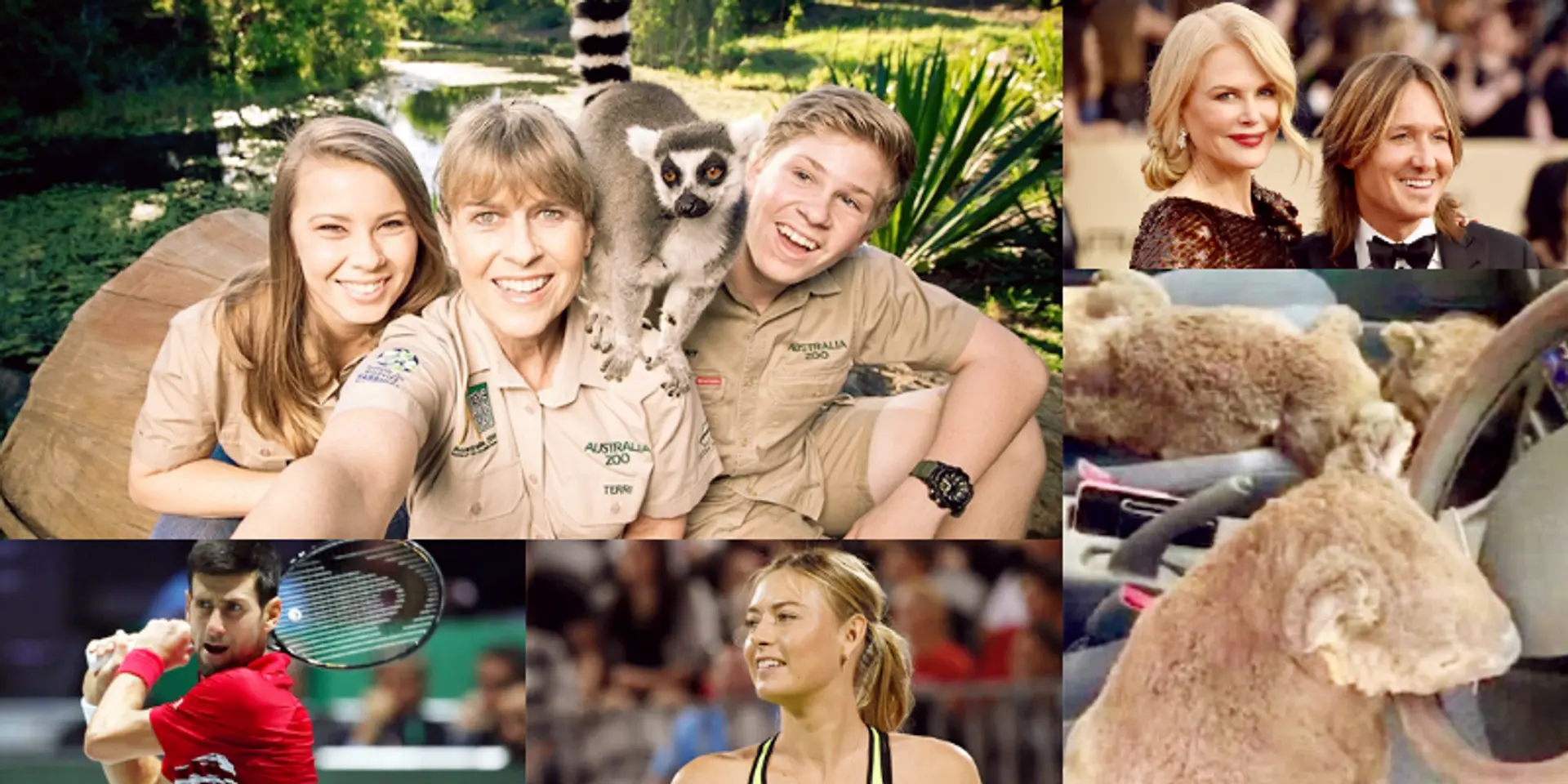 Meet the individuals and celebrities doing their bit to help victims of the Australian bushfires