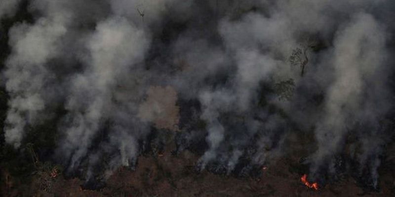 Earth S Lungs On Fire Amazon Rainforest Records 75 000 Fires In Less Than 8 Months