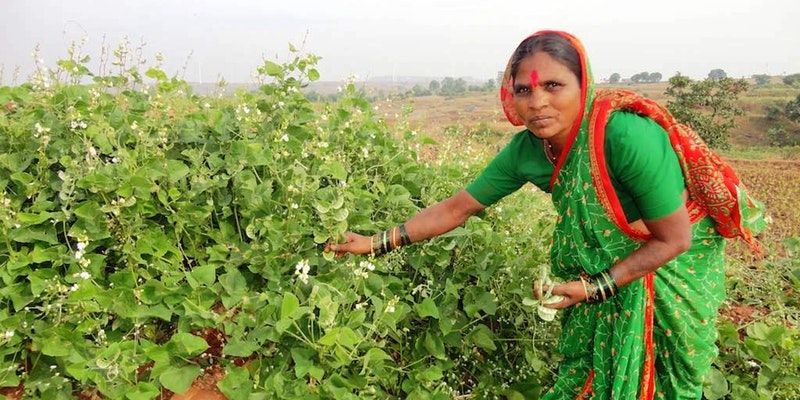 This 55-year-old ‘Seed Mother’ is tackling malnutrition by preserving native seeds