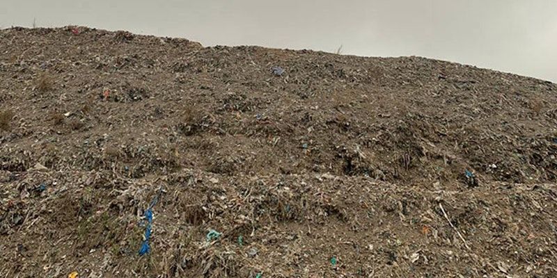 This infamous landfill in Delhi is on its way to becoming an eco park 