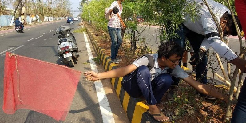 This foundation is restoring trees uprooted in Bhubaneswar during cyclone Fani