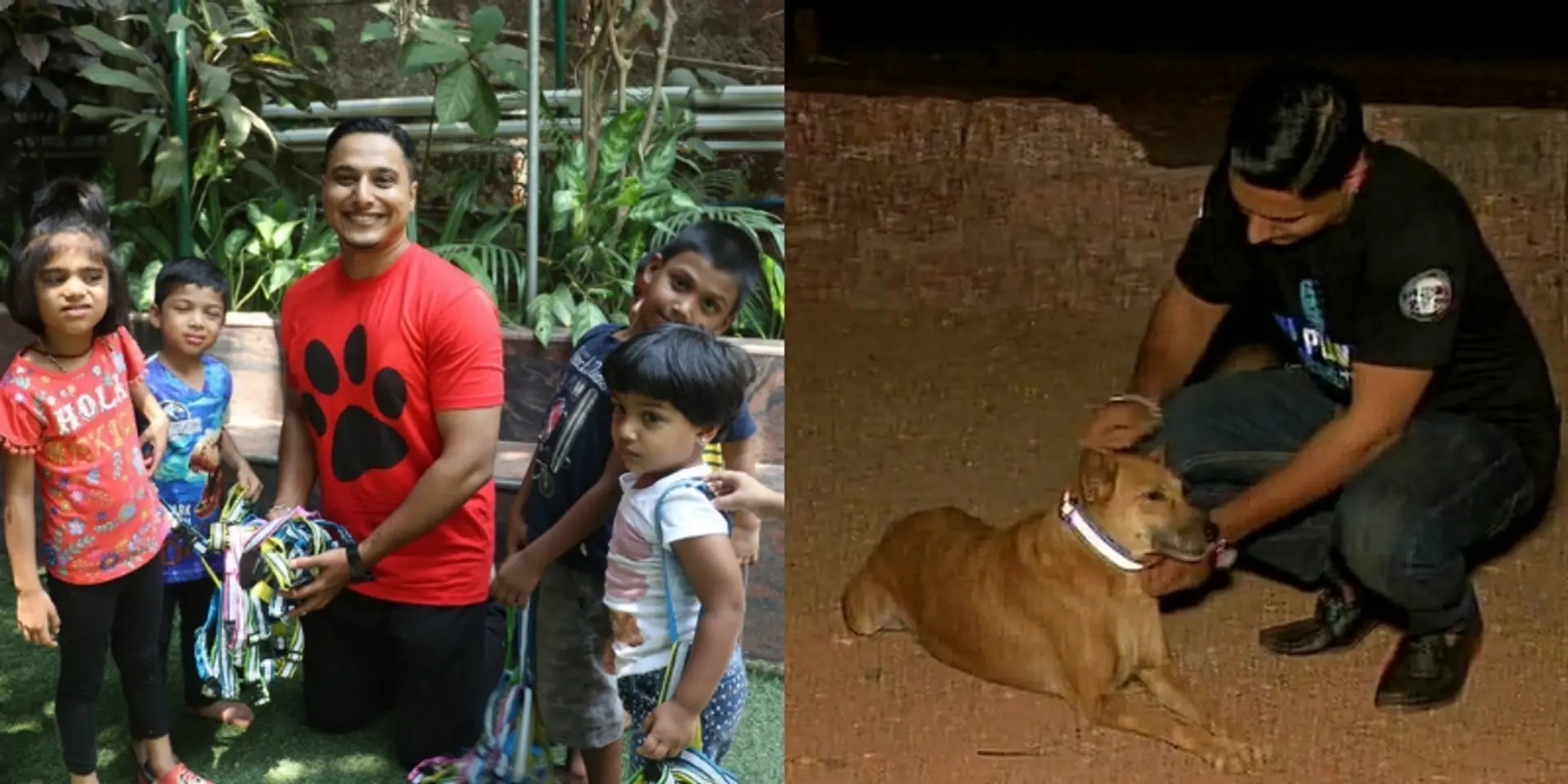 Meet the 31-year-old animal activist who tags stray dogs with reflective collars to save them from road accidents