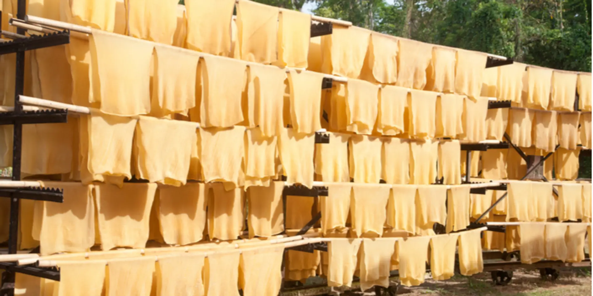 K'taka teens bag National Geographic Explorer Award for developing eco-friendly rubber