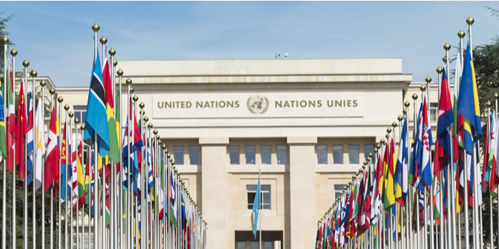 World will need 50pc more food by 2050, but yields may decline by 30pc: Report
