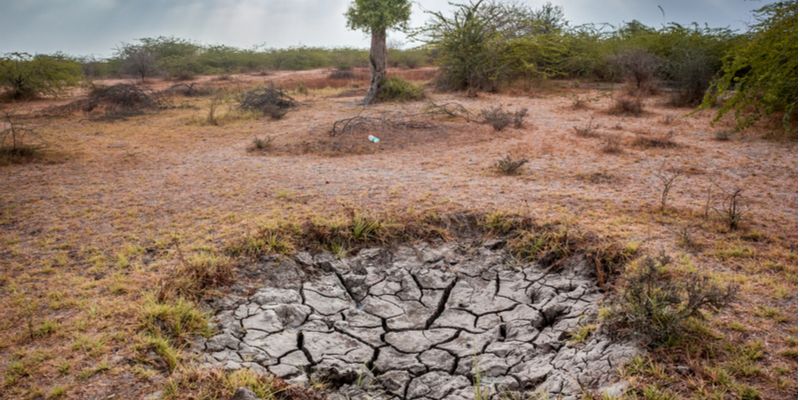 Drought is a real problem, use water efficiently to save land from degradation, says Javadekar